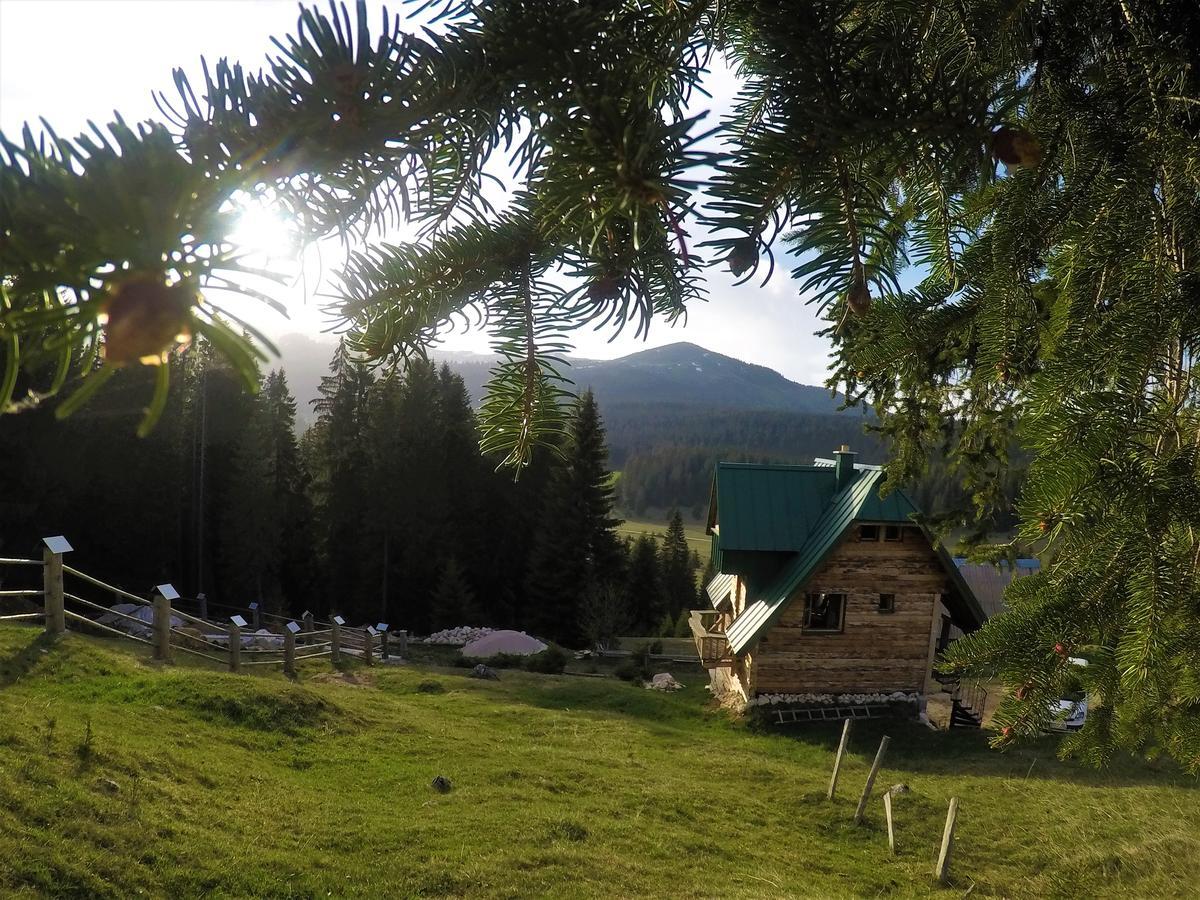 Mountain Story Apartment جابلياك المظهر الخارجي الصورة